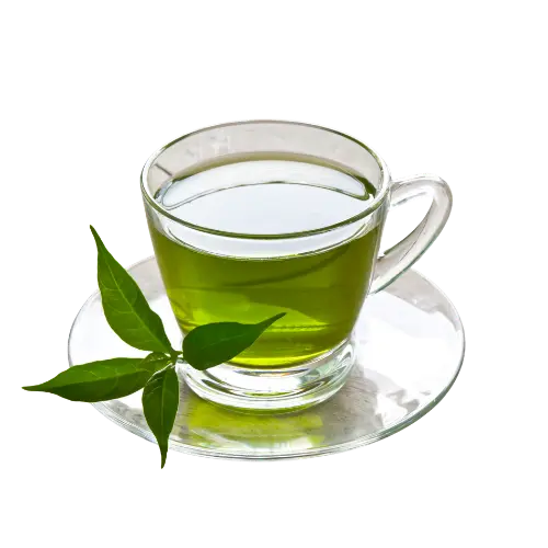 green tea herbal drink den haag green tea herbal drink den haag