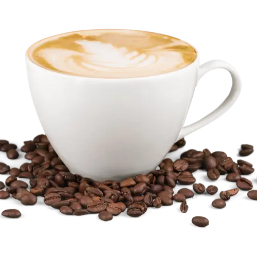 coffee cappuccino hot drink den haag coffee cappuccino hot drink den haag